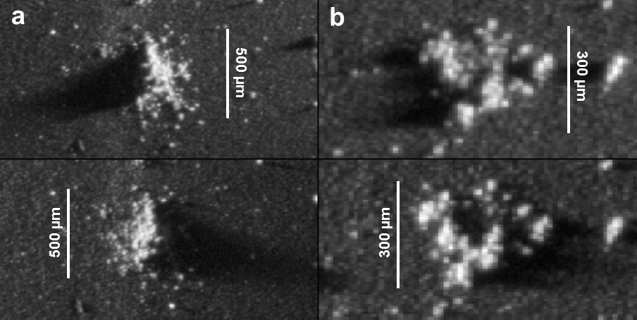 esa rosetta cosima 140126bis